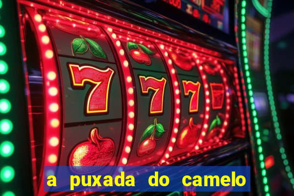 a puxada do camelo no jogo do bicho